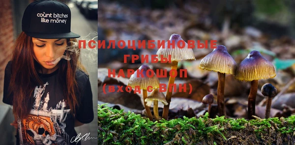 соль курить ск Рославль