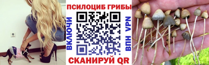 Галлюциногенные грибы ЛСД  Адыгейск 